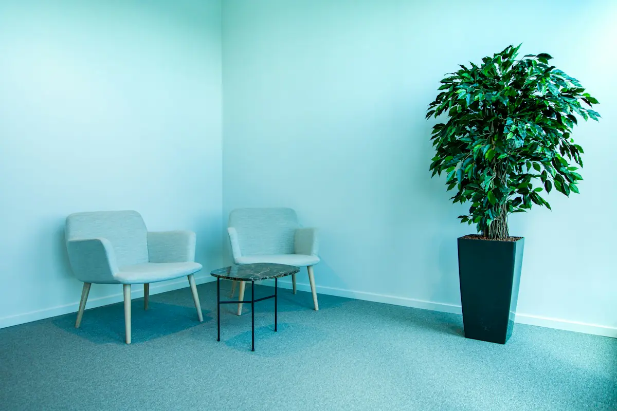 Salle d’attente aux murs bleus, deux fauteuils et une plante