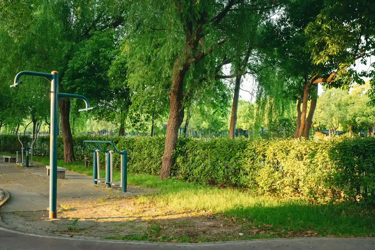 Agrès de musculation en plein air dans un parc arboré