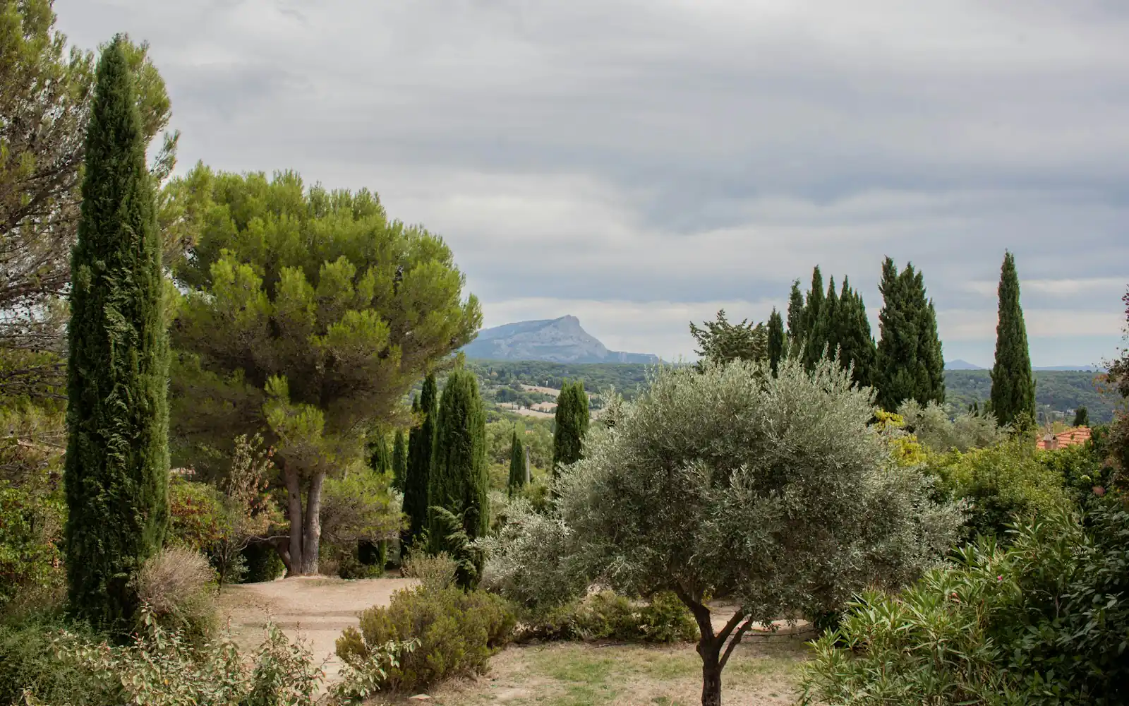 Jardin méditerranéen de cyprès, pins et oliviers, la montagne Sainte-Victoire au loin