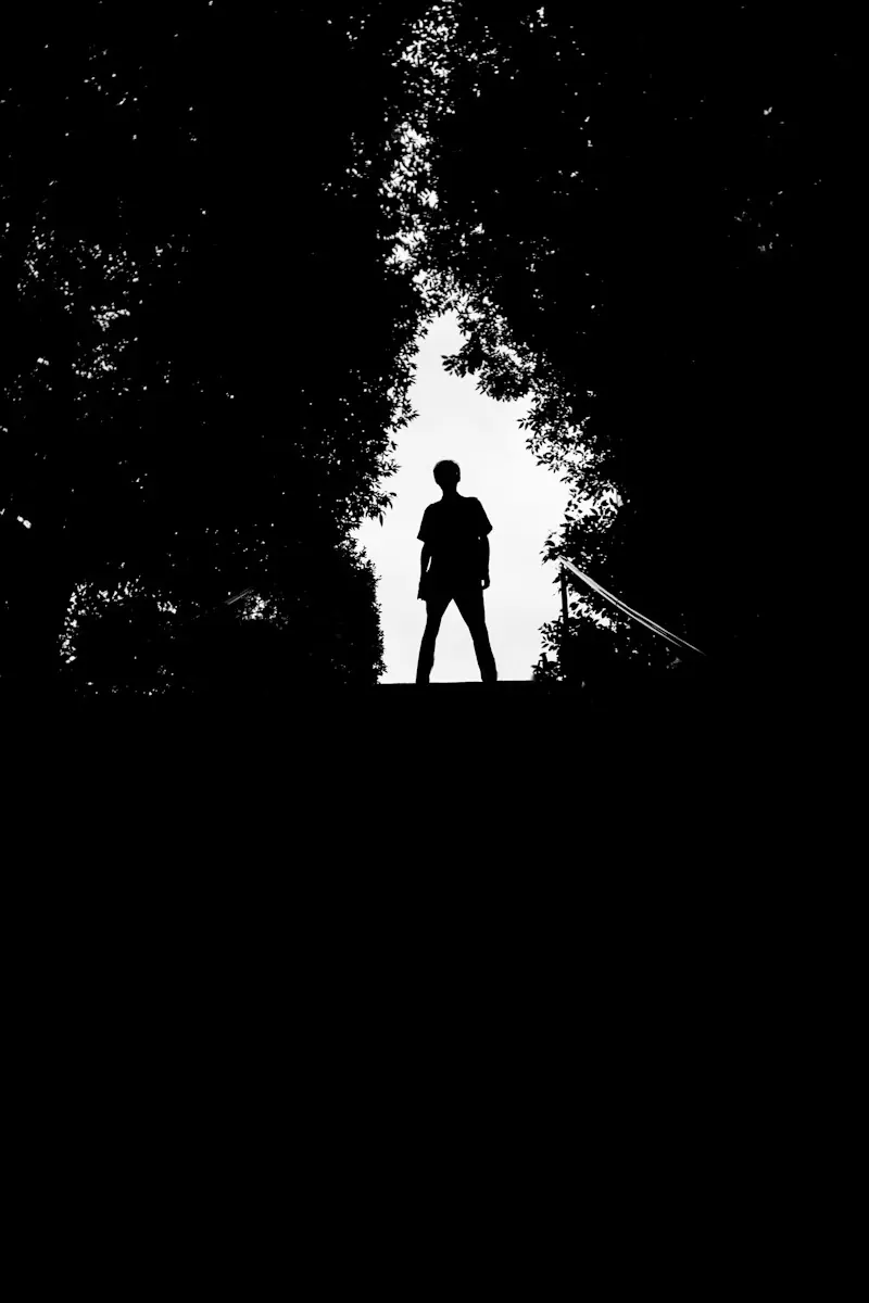 Silhouette encadrée par les arbres